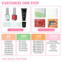 Neissry Rou Ni Set – Kit de vernis à ongles gel de haute qualité – Collection été – Prix usine