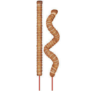 Poteau en mousse <span class=keywords><strong>pour</strong></span> plantes Monstera Poteaux en mousse <span class=keywords><strong>pour</strong></span> l'escalade Bâtons de plantes pliables Supports de plantes <span class=keywords><strong>pour</strong></span> intérieur/extérieur - Product Image 2