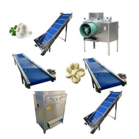 Machine de séparation d'ail en acier inoxydable 304/gants d'éplucheur d'ail/machine pour éplucher l'ail