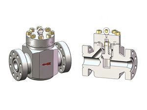 Válvula de Retención de Alta Calidad API 6A 2 1/16" 5000 Psi con Conexión de Brida DDCV de Doble Lóbulo para Aceite - Product Image 2