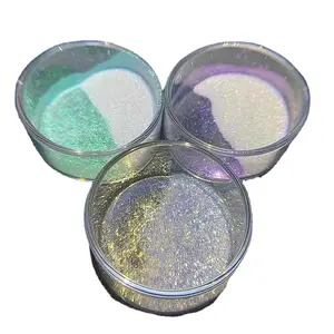 Bulk Interference White Chameleon Paint Powder Color Pearl Powder Car Paint Multi Color Chameleon Tint Pigment Powder