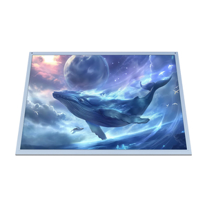 Pantalla Industrial AUO G170EG01 V.1 de 17.0 Pulgadas TN SXGA 350nits LVDS 30 Pines con Retroiluminación WLED y Larga Vida Útil - Product Image 6