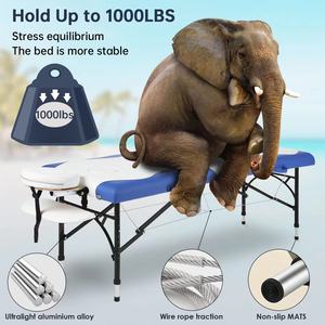 <span class=keywords><strong>Table</strong></span> <span class=keywords><strong>de</strong></span> <span class=keywords><strong>massage</strong></span> portable <span class=keywords><strong>professionnelle</strong></span>, pliable en deux, <span class=keywords><strong>légère</strong></span>, pour salon <span class=keywords><strong>de</strong></span> beauté, spa, lit <span class=keywords><strong>de</strong></span> tatouage, sac <span class=keywords><strong>de</strong></span> transport, design moderne, cuir synthétique - Product Image 2