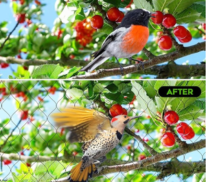 Filet de protection pour cerfs 7 x 100 pieds Réutilisable pour les plantes, les arbres fruitiers, les <span class=keywords><strong>l</strong></span>égumes <span class=keywords><strong>contre</strong></span> les oiseaux et autres animaux - Product Image 5