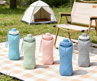Gobelet pliable en silicone Jiazhaokeji, bouteille d'eau portable pour le sport et les voyages en plein air, design simple rétractable, transparent/cristal