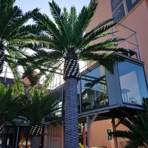 <span class=keywords><strong>2025</strong></span> phong cách mới cây cọ nhân tạo cho trong nhà & Ngoài trời trang trí - Product Image 4