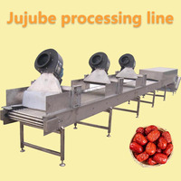 Volautomatische Rode Jujube Jam Verwerkingsmachine Data Verwerking Makende Lijn