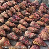 Feuilles d'olivier pour Betta, plantes aquatiques, matériau non comestible, pour petits poissons tropicaux, Arowana, tortues, crevettes, aquarium, réduction du pH