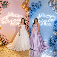 Articles de fête : Décorations élégantes rose et or pour célébration du Quinceañera, enseignes néon LED « Mis Quince Anos » pour décorations de 15 ans XV Quinceañera