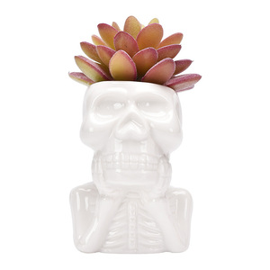 <span class=keywords><strong>Maceta</strong></span> suculenta <span class=keywords><strong>Maceta</strong></span> de cerámica de Halloween Porcelana blanca Personaje de dibujos animados Personalidad <span class=keywords><strong>Calavera</strong></span> <span class=keywords><strong>Maceta</strong></span> - Product Image 6