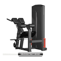 Usine Gym Fitness Equipment Pin Loaded Selectorized Back Extension Machine Select Back Extension avec Hyperextension Exercise