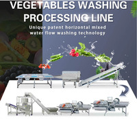 Volautomatische Groenteverwerkingsfabriek Roestvrijstalen Fruitgroente Waslijn Groentesnijmachines
