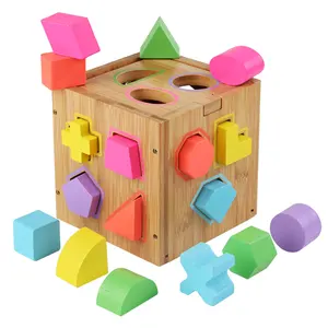 Kids 17Pcs Gaten Geometrische Vorm Sorter Speelgoed Houten Vorm Sorter Bijpassende Blokken Intelligentie Doos Educatief Speelgoed Voor Kind