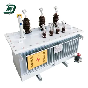 Premium Eco-Friendly Efficient Durable High Efficiency Low Loss SH15 Amorphous Alloy Oil-Immersed Power Transformer