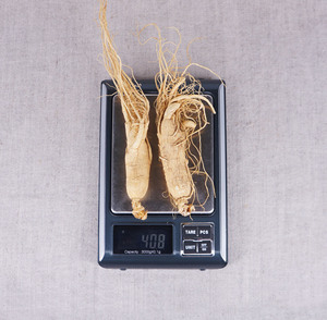 Trung Quốc Thảo Dược Khô Hữu Cơ Panax Hoang Dã Trung Quốc Nhân Sâm Hạt Giống Sản Phẩm Gốc Gensing 25 Cái Renshen - Product Image 6