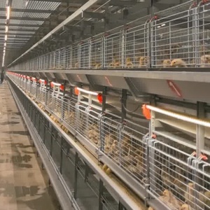 מותאם אישית סוג broiler קצירת אוטומטי כלובי סוללה 60000-80000 ציפורים קיבולת העוף ריצפה קול חדש - Product Image 2