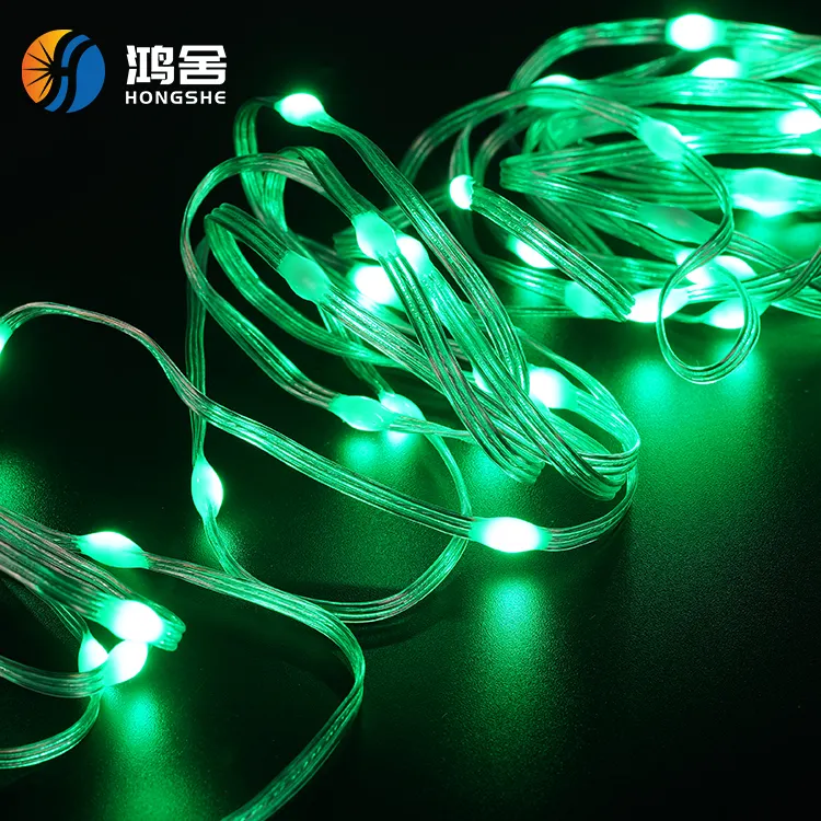 Factory Direct Sale Holiday Lighting Remote Control SMD5050 RGB Led Christmas Light