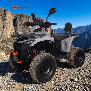 Quad 125CC haute performance, 4 temps, essence, tout-terrain, pour adultes - Product Image 1