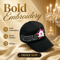 Casquette de baseball en coton de haute qualité à 5 panneaux avec broderie 3D, motif lettre et dessin animé, pour hommes et femmes