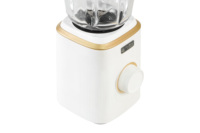 Mixeur 2 en 1 Mixeur personnel pour Shakes et Ice Smoothies Juicer Fruit Food Processor Ice Sonifer Professional Blender