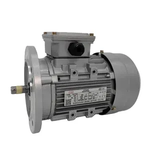 IE3 Series 0.55 kW~ 37 kW/60kw 6 Poles 3 Three Phase Induction AC Electric Motor