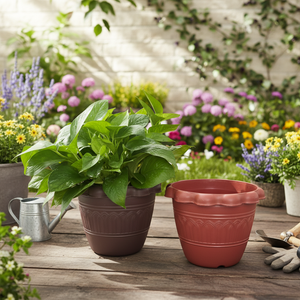 CASAMAX WL AM-0452-16 Macetas de Plástico para Plantas Modelo 16.5*14CM China - Product Image 3