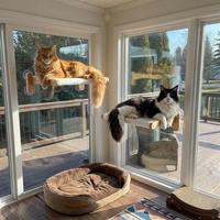 Perchoir de fenêtre pour chat, étagères d'escalade pliables pour chat, hamac de fenêtre pour chat peu encombrant avec ventouses puissantes