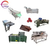 Machine de tri par piqûres de dattes rouges Machine à dénoyauter les fruits secs Machine à laver les dates de séchage Ligne de production de pâte à poudre