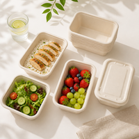 Contenant alimentaire jetable en fibre végétale biodégradable 750ml/1000ml, vente en gros pour riz, pâtes, salades et plats à emporter en restaurant