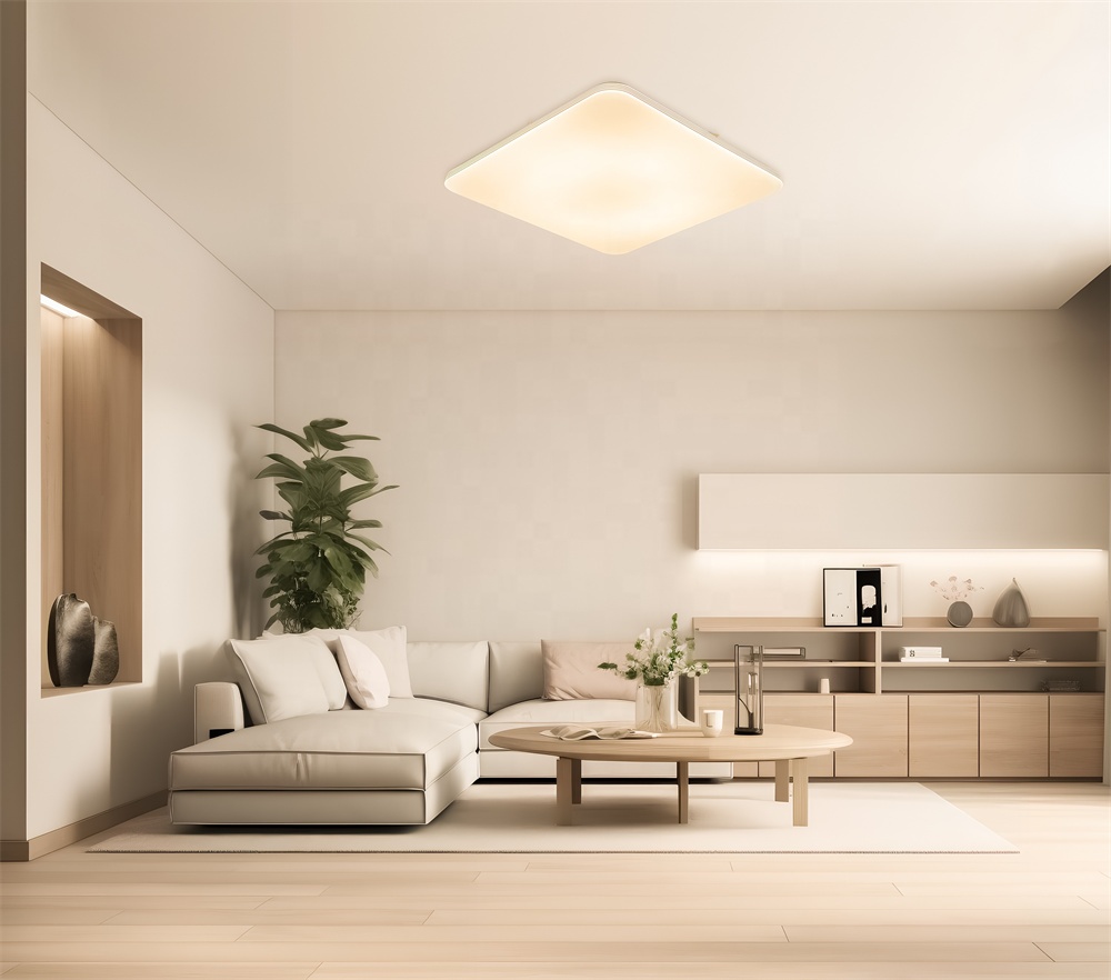 google voice light