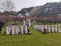 Chaises Chiavari en bois à dossier croisé, empilables, en résine imitation bois blanc, hêtre et chêne, pour bistrot, salle à manger, location et mariage, vente en gros