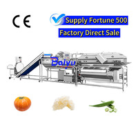 Baiyu Automatische Hydro Vortex Fruit- en Groentewasmachine met Ozonsterilisatie, Voedselveilige RVS, voor Bloem, Maïs en Noten