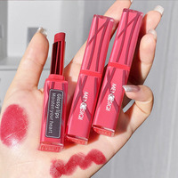 مصنع OEM/ODM مخصصة للماء مكياج عضوي 6 ألوان lipcream تسمية خاصة طويلة الأمد النباتي ماتي أحمر الشفاه