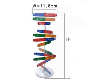 Kit de test scientifique éducatif pour enfants sur les gènes humains à faire soi-même, en coton durable, avec modèles d'ADN et double hélice - Product Image 3