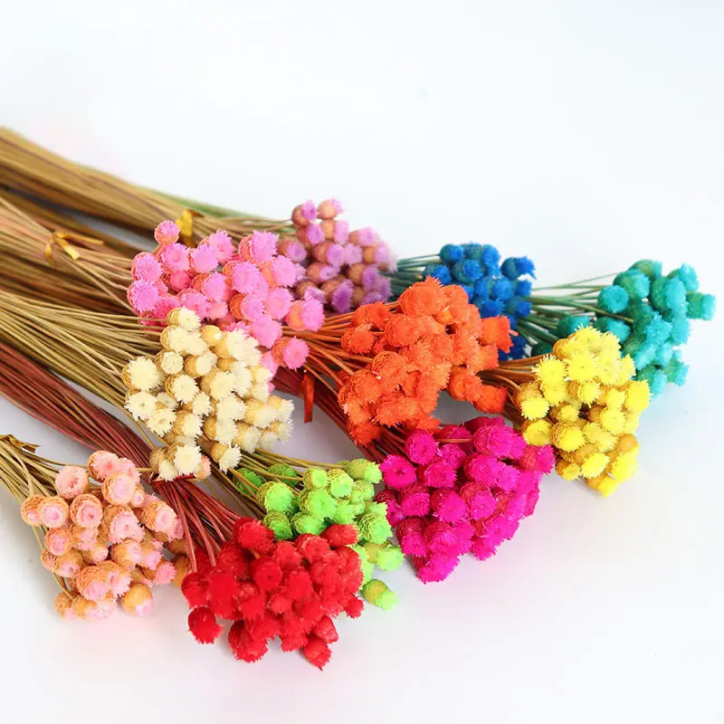 Approva i modelli esplosivi del brasile Happy Flower fiori secchi puntelli da tiro retrò decorazioni per la casa Bouquet fiori secchi