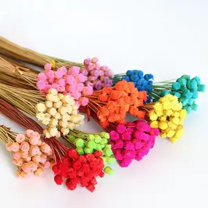 Approves explosive models of Brazil Happy Flower Dried Flowers Retro shooting props Home Decor Bouquet Dried Flowers