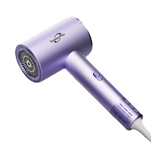 ไดร์เป่าผมใช้ในครัวเรือนที่มีมูลค่าสูงและแห้งเร็วการป้องกันไอออนที่เป็นลบสำหรับหอพักนักศึกษา - Product Image 5