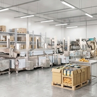 Línea de Producción de Papas Fritas de Calidad Premium, Planta Industrial de Snacks con Ahorro de Energía y Gestión Precisa de la Temperatura