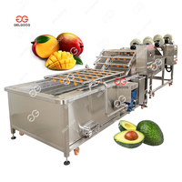 Fruit Groente Wassen Schilmachine Pitaya Dragon Fruit Waslijn Sorteren Fruit Wassen Sorteren Waxen Productielijn