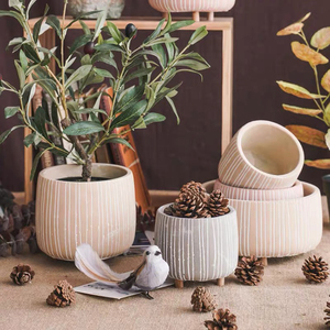 <span class=keywords><strong>Macetas</strong></span> y jardineras <span class=keywords><strong>de</strong></span> hormigón mate pequeñas nórdicas <span class=keywords><strong>de</strong></span> tamaños personalizados <span class=keywords><strong>de</strong></span> varios colores, mini maceta <span class=keywords><strong>de</strong></span> <span class=keywords><strong>cemento</strong></span> <span class=keywords><strong>de</strong></span> cactus <span class=keywords><strong>con</strong></span> <span class=keywords><strong>patas</strong></span> <span class=keywords><strong>de</strong></span> <span class=keywords><strong>madera</strong></span> - Product Image 2