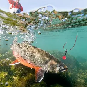 LUSHAZER 140 pcs/boîte Vis pour appâts de pêche Crochet Stops Oval Buckle Carp Fishing Tackle Accessories Kit for Making Carp Pop up Rigs - Product Image 5