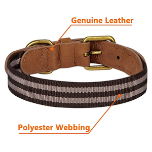 New Trend Genuine Leather Dog <strong>Collar</strong> with Polyester Webbing Pet Neck <strong>Collar</strong> Soft <strong>Buckle</strong> for <strong>Cats</strong> Dogs Supplies - Product Image 2