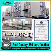 Cristaux de polyphosphate anticalcaire pour système de filtration d'eau par osmose inverse, provenant de l'usine Source Factory ZONE