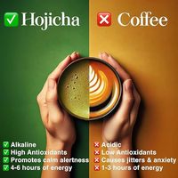 Thé vert torréfié Hojicha biologique pur naturel en poudre à marque privée, thé minceur en sachet en vrac