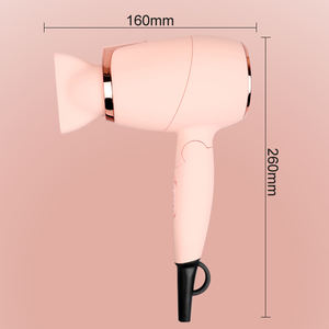 <span class=keywords><strong>Calentador</strong></span> multifunción eléctrico para salón <span class=keywords><strong>de</strong></span> belleza, equipo <span class=keywords><strong>de</strong></span> estilismo <span class=keywords><strong>de</strong></span> soplado, Mini secador <span class=keywords><strong>de</strong></span> pelo profesional portátil Bldc <span class=keywords><strong>de</strong></span> un <span class=keywords><strong>paso</strong></span>, color rosa, para Hotel - Product Image 5