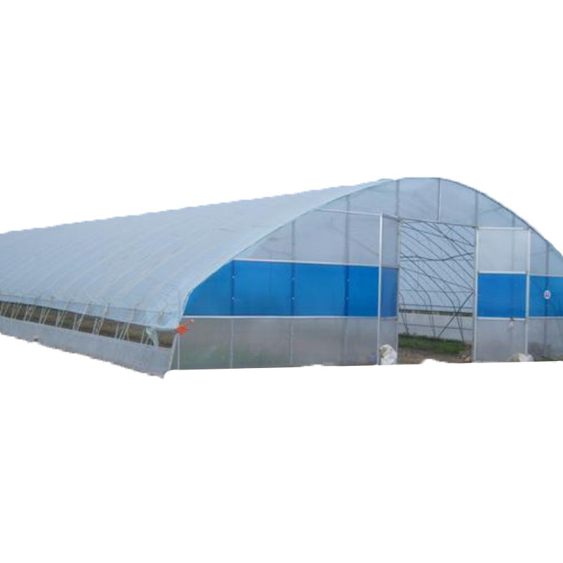 Lage Kosten Tunnel Kas Gegalvaniseerd Stalen Frame Single Span Pe Film Kas Voor Landbouw Bloemen Plant