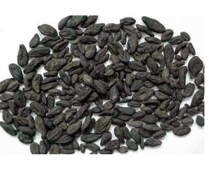 Harad Choti Khala pruneaux hongrois produits de fruits sucrés et sains pour manger cuisson sauvage-cultivé - Product Image 3