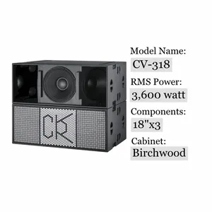 Triple caisson de basses de 18 pouces, haut-parleur de subwoofer professionnel pour scène - Product Image 3
