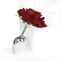 SMOOTH Kit Personnalisé SM pour Adultes : Petit Plug Anal Rose, Pince à Tétons, Accessoires d'Entraînement et de Punition pour Jeux en Extérieur
