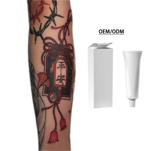หมึกสักพรีเมียม 2025 ครีมสัก ไมโครเบลดดิ้ง ชุดหมึกสักพร้อมแผ่นฝึกหัด ขายส่งโดยตรง - Product Image 4